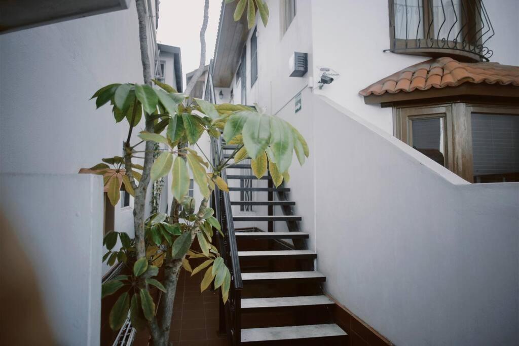 Ferienwohnung Casa Macfarland Boutique Ensenada Exterior foto